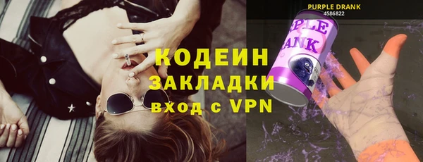 индика Кодинск