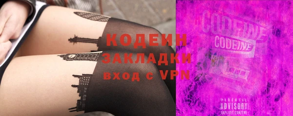 индика Кодинск
