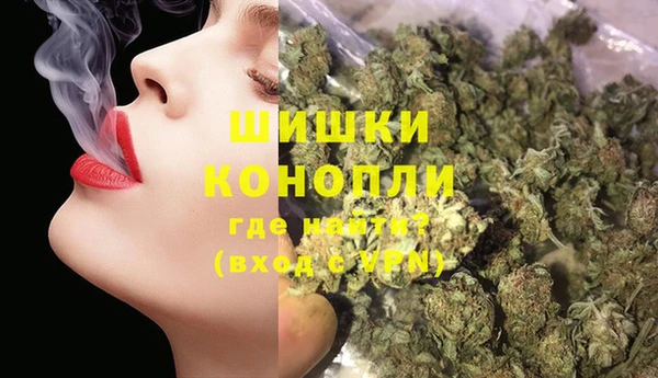индика Кодинск