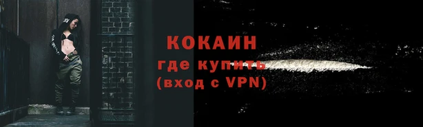 соль ск Козловка