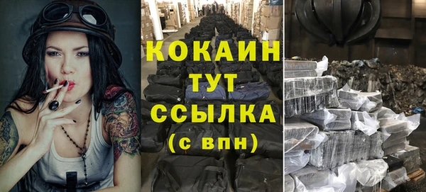 соль ск Козловка
