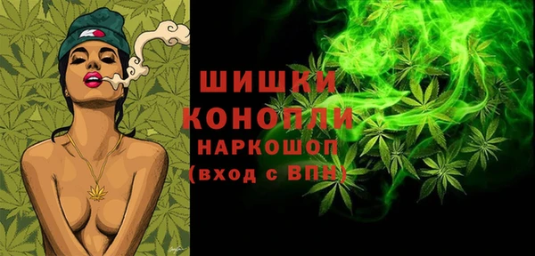 соль ск Козловка