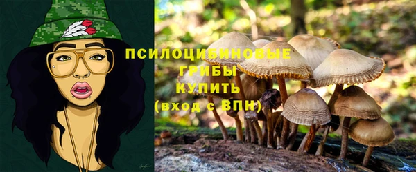 индика Кодинск