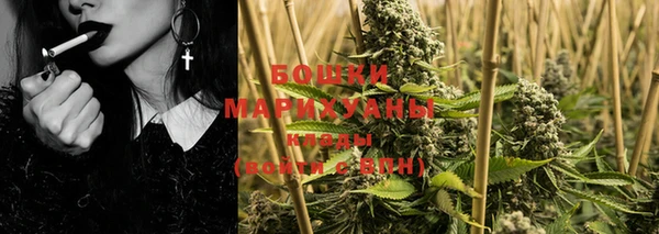 индика Кодинск