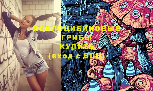индика Кодинск