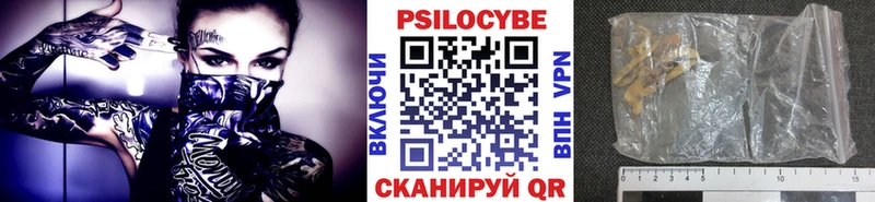 Купить где  Новокузнецк  Псилоцибиновые грибы Psilocybe 